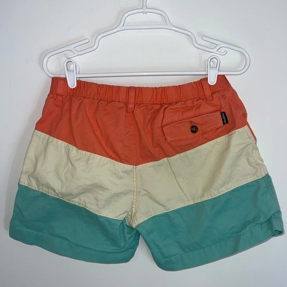 Chubbies Swim Shorts